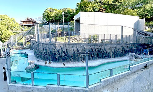 ロッキーステージ