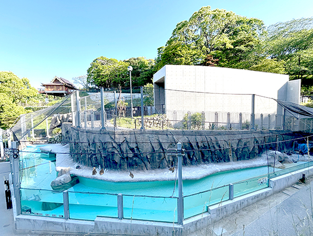 ロッキーステージ