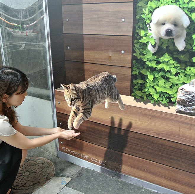 目の前に飛び出す子猫のリアルさに、思わず手を差し伸べて記念撮影。再開発中の渋谷のインスタ映えスポットとして話題に！